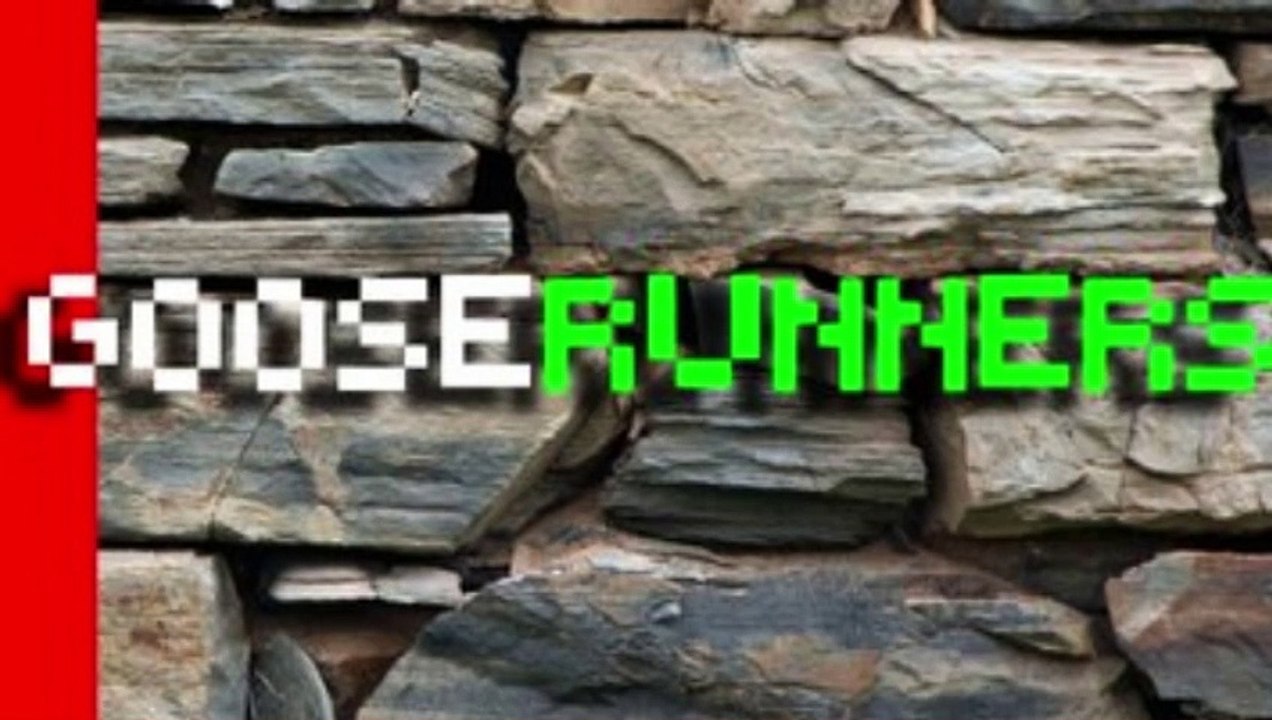 Gooserunners on PauOS!