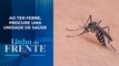 Diagnósticos, sintomas e cuidados necessários com a dengue | LINHA DE FRENTE