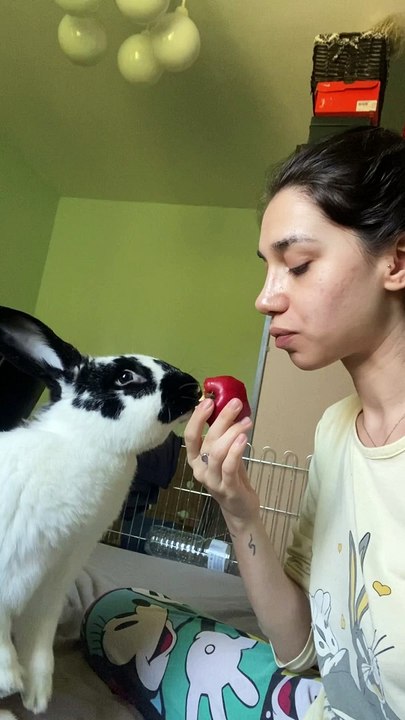 Bunny Wants To Share