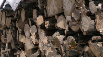 Topo Producteur de bois