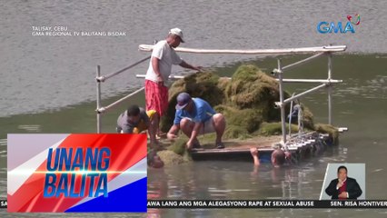 Download Video: Pagtatanggal ng lumot sa Mananga River, isinagawa kasunod ng pagbaba ng antas ng tubig sa Jaclupan Dam | UB