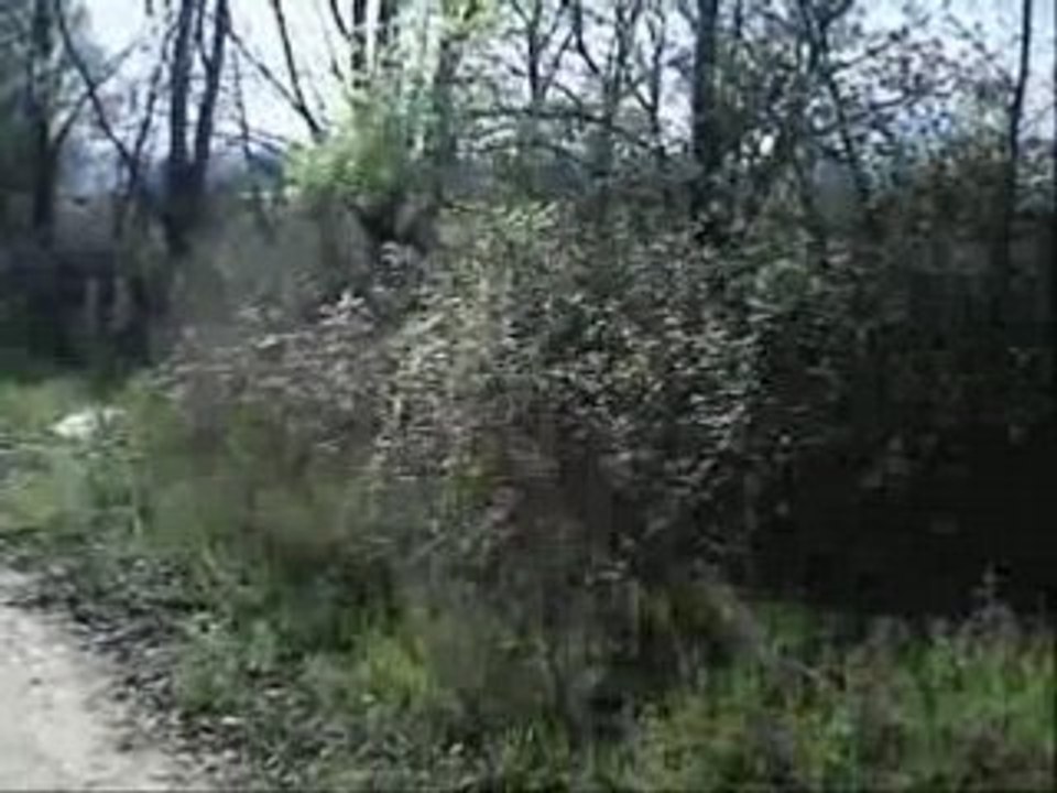 piste de monster truck de Beauvallon (26000 drôme)