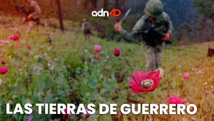 Por esta razón los grupos criminales quieren controlar Guerrero