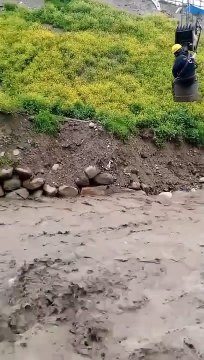Rescatan a perrito atrapado en medio de un río en La Paz