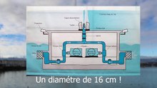 Un Jet d'eau de Genève était pour une vanne sécurité et finit comme une star. Genève 2020 (2)