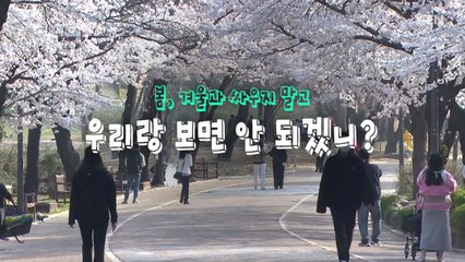 [영상] 비도 아니고, 눈도 아니고...겨울과 싸우는 봄 / YTN