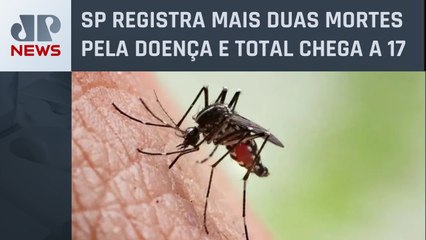 Governo do RJ decreta epidemia de dengue no estado