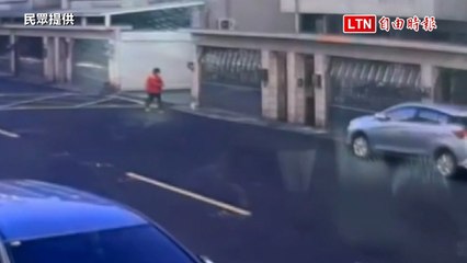 高雄婦人「順手牽狗」引發警察介入，聲稱「不要養了」🐶