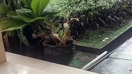 Water as the Source of Life 27