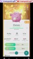 Pokémon GO-Evolving Flower Crown Chansey