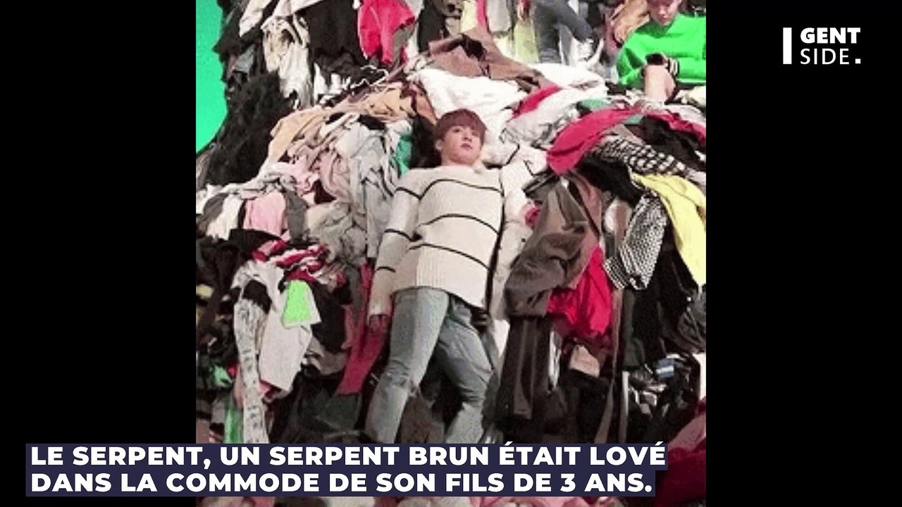 Elle découvre l’un des serpents les plus venimeux au monde dans la chambre de son enfant
