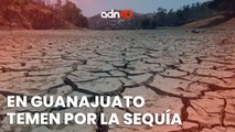 En Guanajuato temen por quedarse sin agua potable ante la sequía por la que pasa el país
