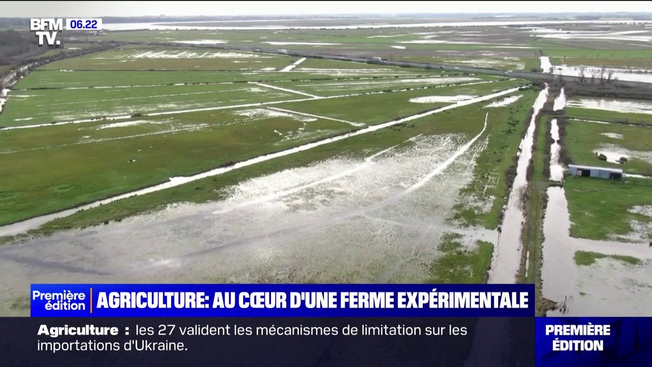 Agriculture: au cœur d'une ferme expérimentale biologique en plein milieu des marais de Charente-Maritime