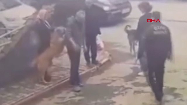 Eyüpsultan'da mahsur kaldığı dereden kurtarılan köpeğin sevgi gösterisi kamerada