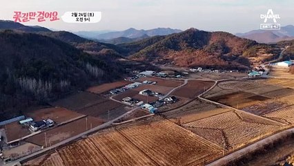 [예고] 고향을 떠나 강원으로 온 지 60년! 거동조차 쉽지 않아진 그녀는 꽃길을 걸을 수 있을까?