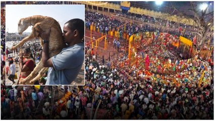 Medaaram Jataara లో ధరల మోత.. భక్తుల జేబులకు భారీగా చిల్లులు | Telugu Oneindia