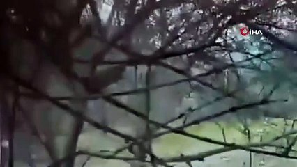 Otobüs şoförünün manevrası faciayı önledi, o anlar kamerada