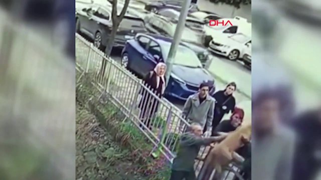 İç ısıtan görüntü: Sokak köpeği kendisini kurtaran insana böyle teşekkür etti