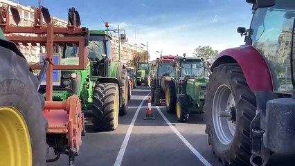 Centenars de tractors protesten al port de València