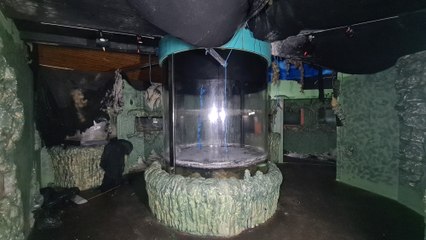 BeardedReality: Inside the abandoned SeaLife Centre