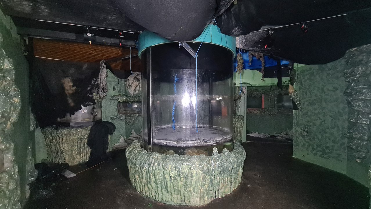BeardedReality: Inside the abandoned SeaLife Centre
