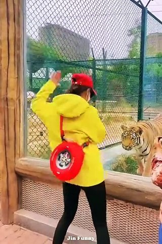 NEW FUNNY  Video