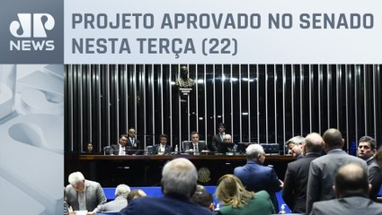 Oposição cobra celeridade na votação do PL da “saidinha” na Câmara dos Deputados