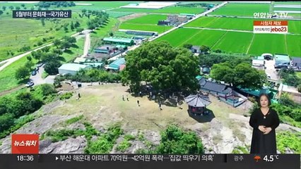 5월부터 '문화재' 대신 '국가유산'…"개발 규제 합리화"