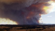 شاهد: حريق غابات في ولاية فيكتوريا الأسترالية يجبر السلطات على إجلاء سكان المناطق المتضررة