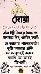 আমি তো তারই ভিখারী। দোয়া। সূরাঃ আল কাসাস, আয়াত২৪। #shortvideo #দোয়া #islamicvideo #islamicshorts