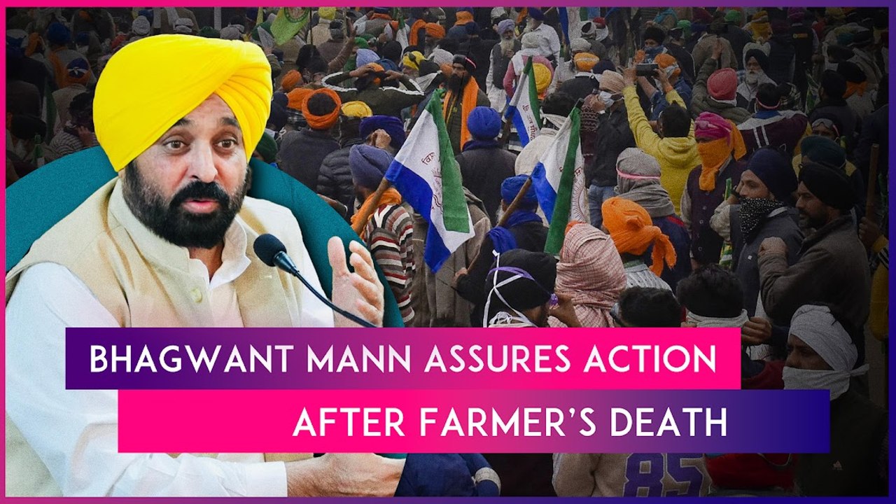Punjab CM Bhagwant Mann Assures Action Against...