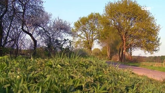 Rote Rosen Folge 1067