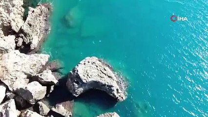 Antalya sahillerinde tedirgin eden görüntü! Sakın temas etmeyin