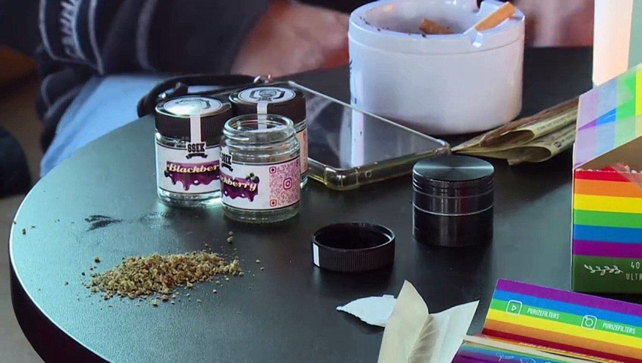 Cannabis - Heilmittel oder riskante Droge?