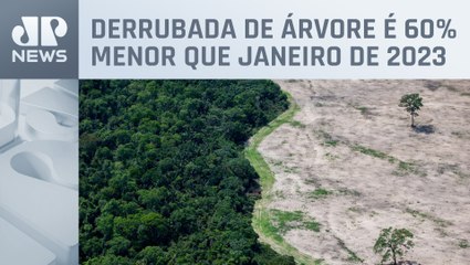 Desmatamento na Amazônia cai pelo 10º mês consecutivo