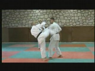UECHI-RYU Karate-Do D'Okinawa Volume 3