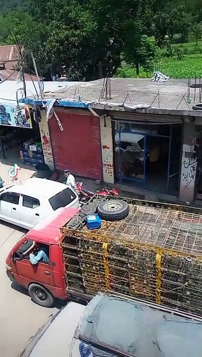 Amazing video