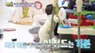 [ENG] The Return of Superman EP.523