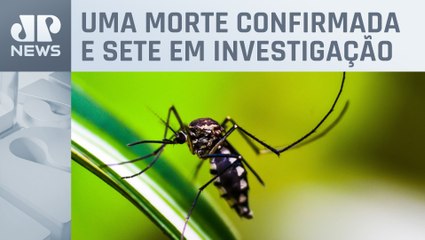 Cidade de São Paulo registra quase 16 mil casos de dengue em 2024