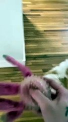 Mon Golden Retriever a besoin d'une thérapie