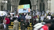 Assange, decine di manifestanti davanti all'Alta Corte di Londra
