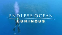 Endless Ocean Luminous – Bande-annonce