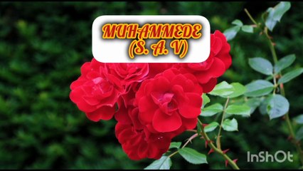 Sen hiç sevdinmi Rasulü/Müziksiz ilahi