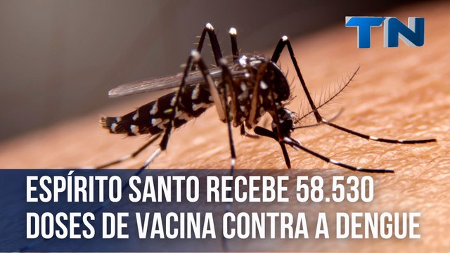 Espírito Santo recebe 58.530 doses de vacina contra a dengue