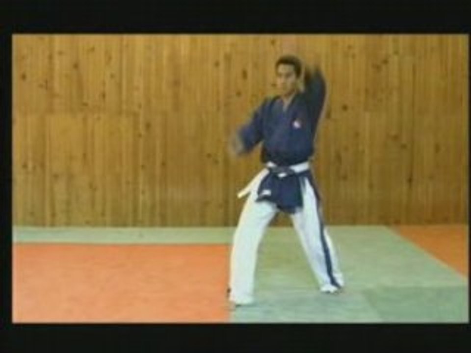 Yoseikan Budo Traditionnel