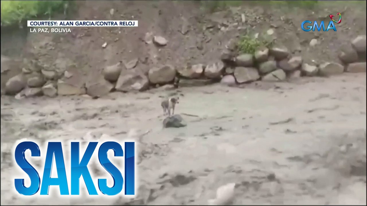 Saksi Part 3: Asong nasagip; "Jonas Brothers"