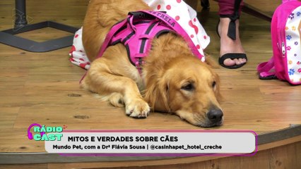 RÁDIO CAST | MITOS e VERDADES sobre CÃES