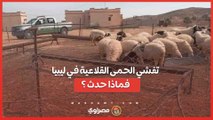 تفشي الحمى القلاعية في ليبيا... فماذا حدث ؟