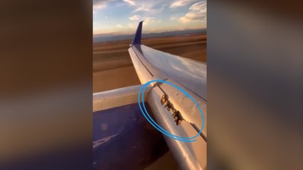 « J'ai hâte que ce vol se termine » : un Boeing perd un morceau d’aile en plein vol