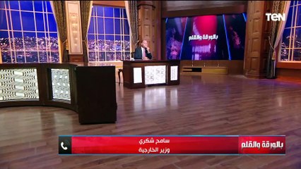 أول تعليق من وزير الخارجية على مرافعة مصر أمام محكمة العدل الدولية